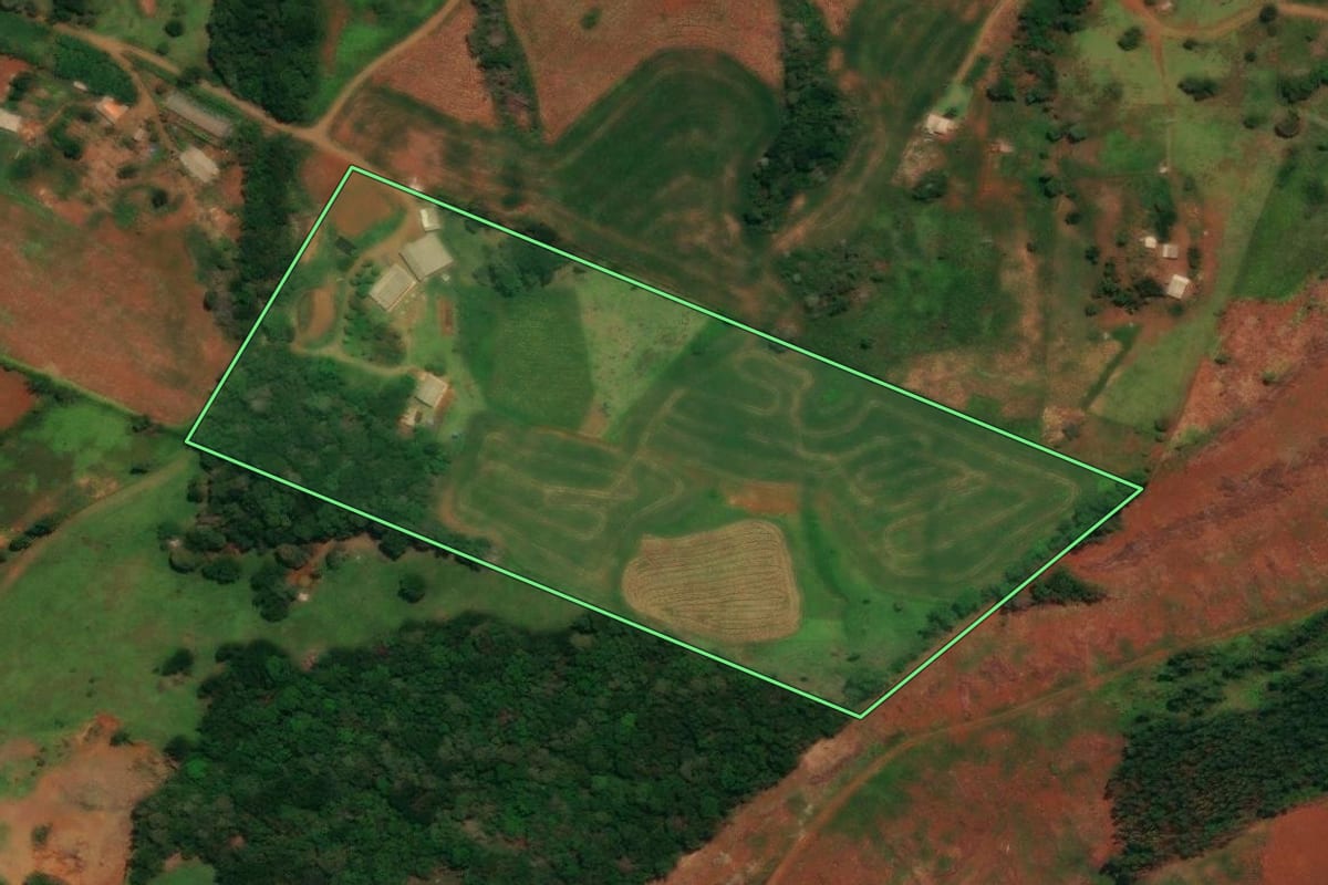 Imagem de satélite do imóvel rural em Guaraniaçu (PR), com o contorno declarado no CAR desenhado por cima.