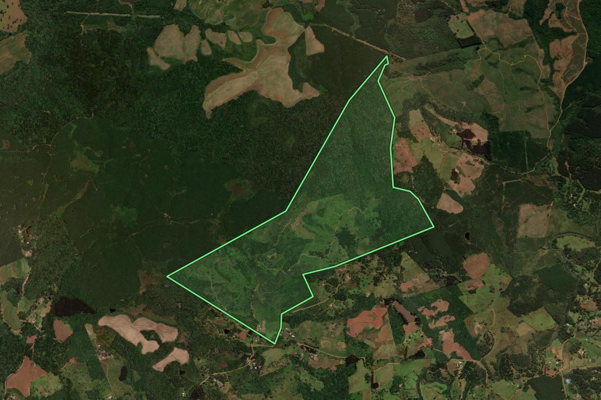 Imagem de satélite do imóvel rural em Guarapuava (PR), com o contorno declarado no CAR desenhado por cima.
