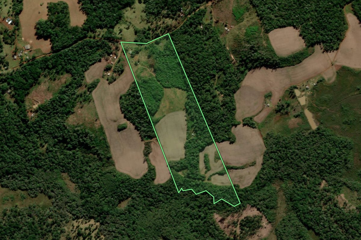 Imagem de satélite do imóvel rural em Guarapuava (PR), com o contorno declarado no CAR desenhado por cima.