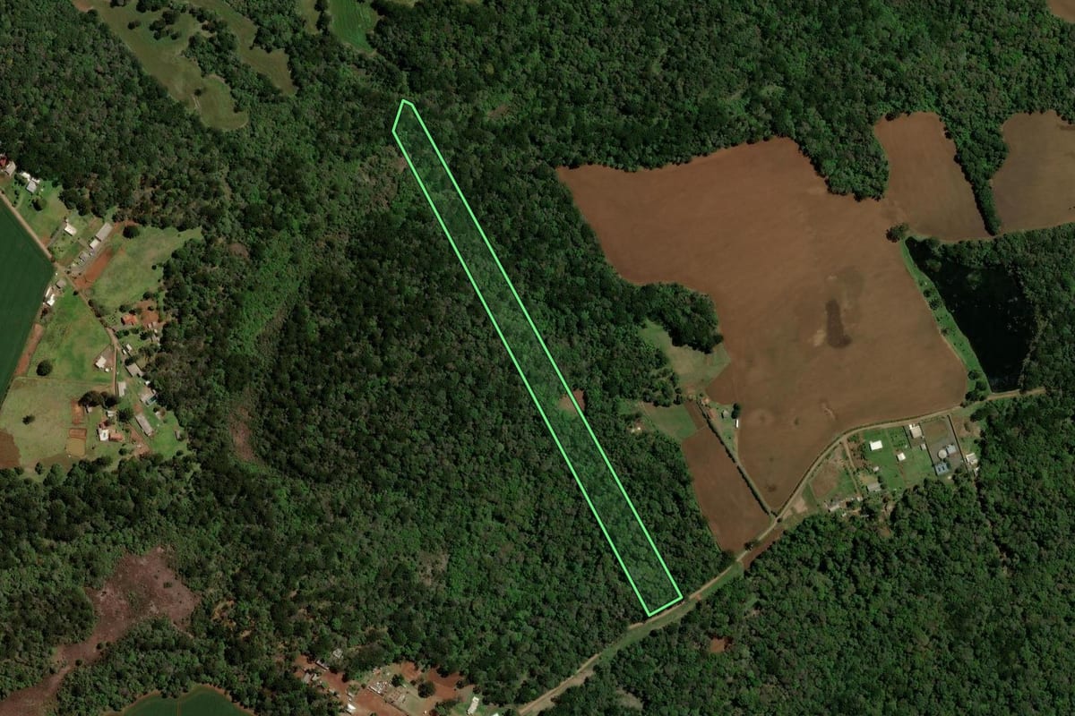 Imagem de satélite do imóvel rural em Guarapuava (PR), com o contorno declarado no CAR desenhado por cima.
