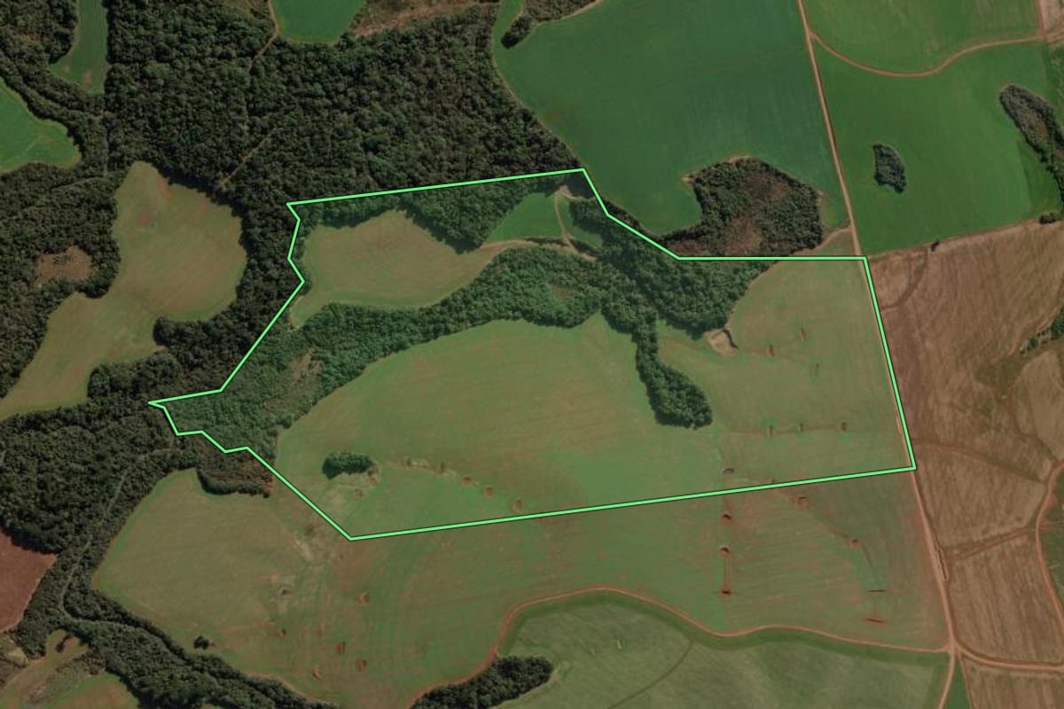 Imagem de satélite do imóvel rural em Guarapuava (PR), com o contorno declarado no CAR desenhado por cima.