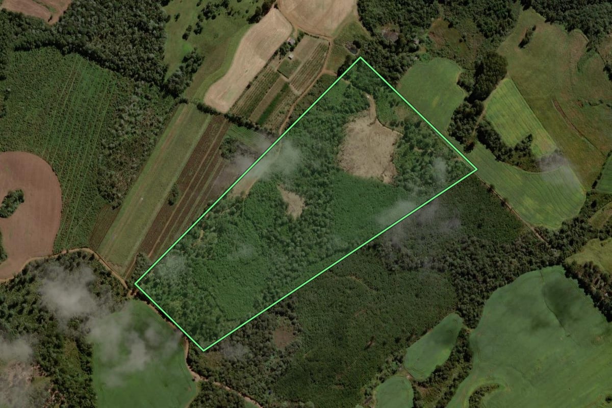 Imagem de satélite do imóvel rural em Guarapuava (PR), com o contorno declarado no CAR desenhado por cima.
