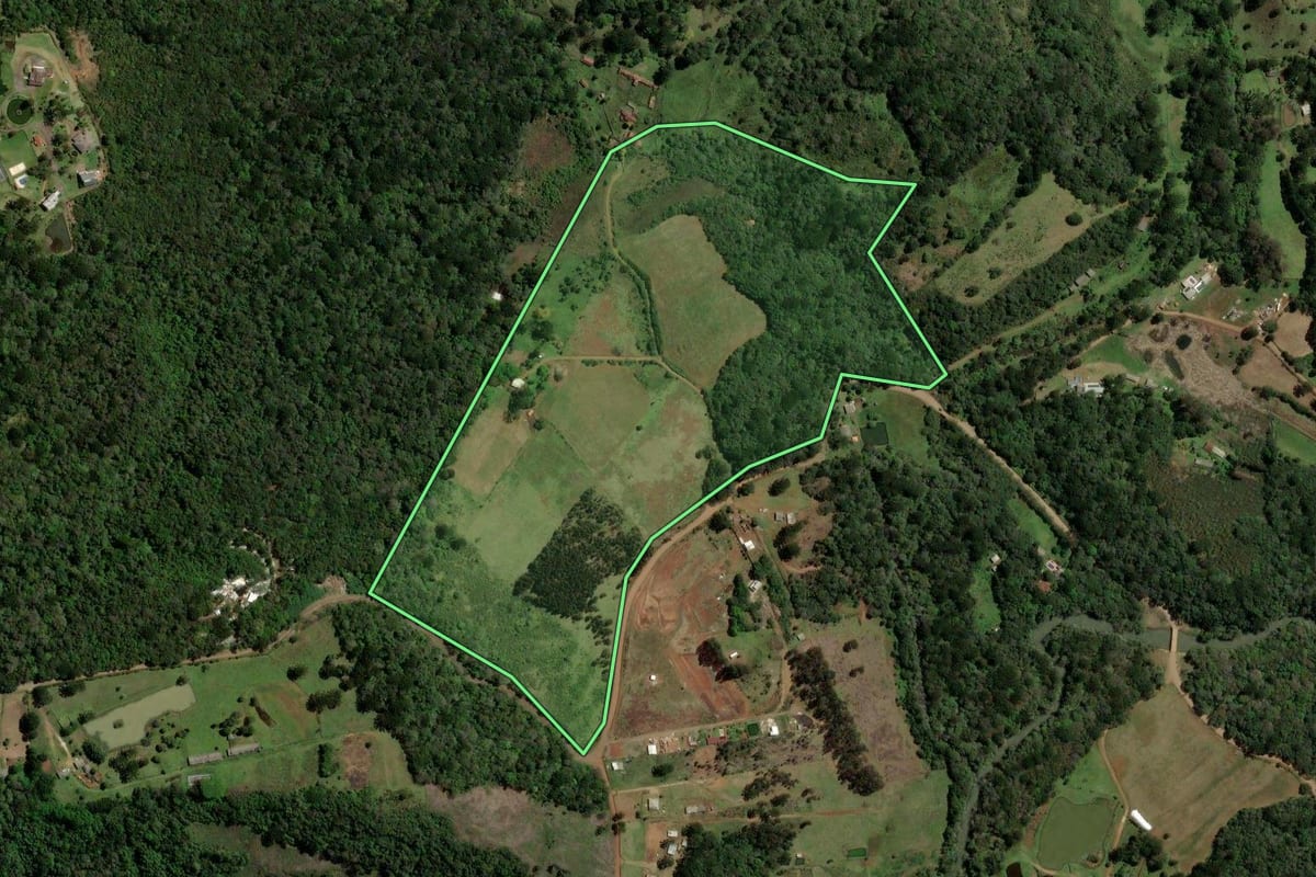 Imagem de satélite do imóvel rural em Guarapuava (PR), com o contorno declarado no CAR desenhado por cima.