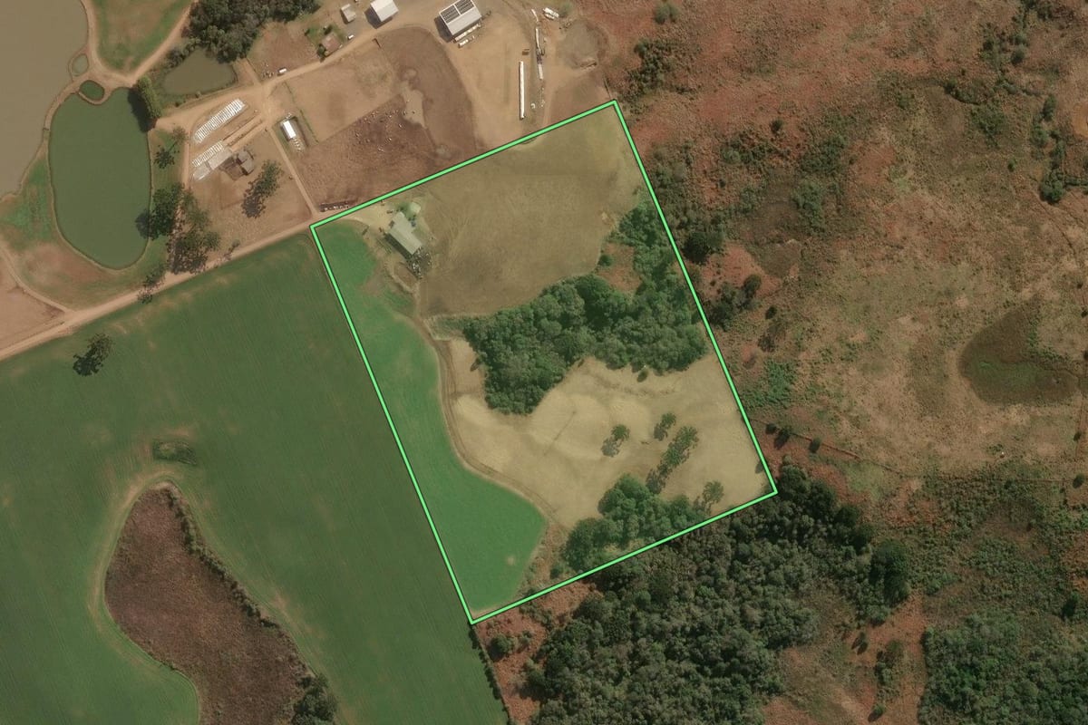 Imagem de satélite do imóvel rural em Guarapuava (PR), com o contorno declarado no CAR desenhado por cima.