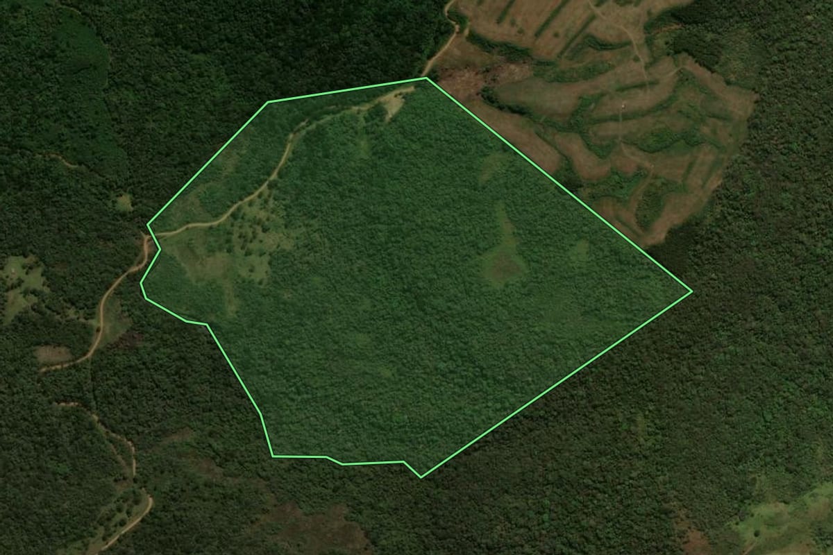 Imagem de satélite do imóvel rural em Guarapuava (PR), com o contorno declarado no CAR desenhado por cima.