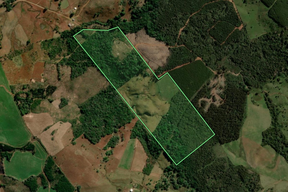 Imagem de satélite do imóvel rural em Guarapuava (PR), com o contorno declarado no CAR desenhado por cima.
