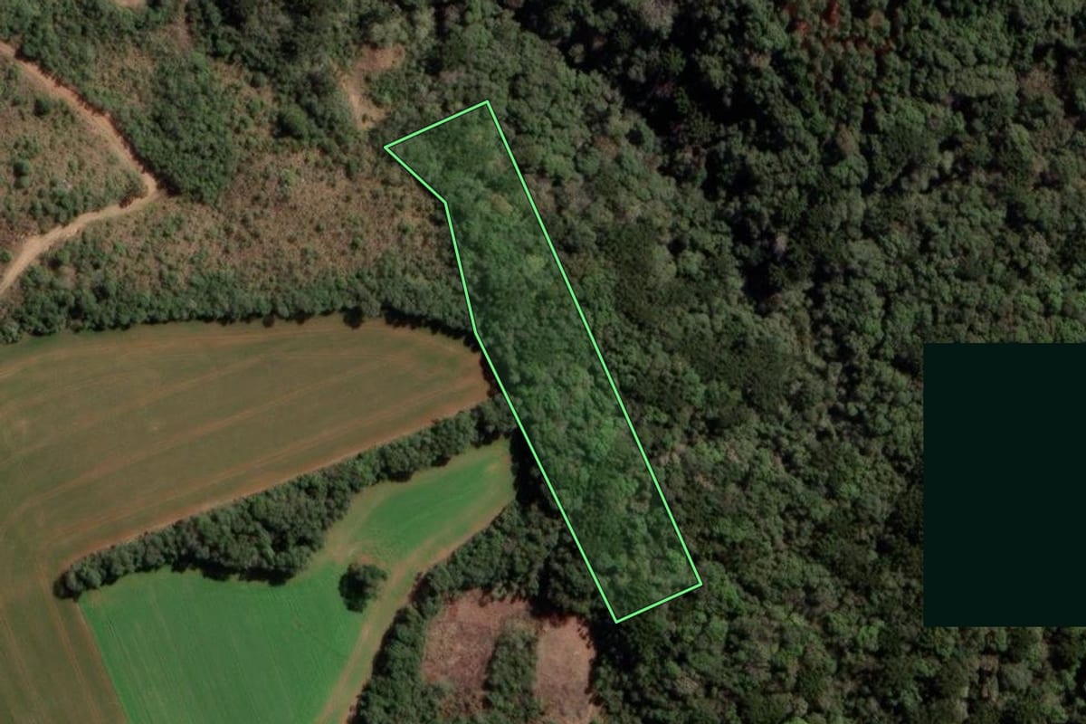 Imagem de satélite do imóvel rural em Guarapuava (PR), com o contorno declarado no CAR desenhado por cima.