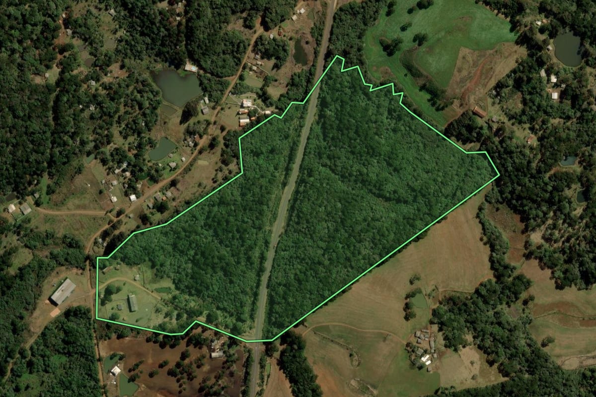 Imagem de satélite do imóvel rural em Guarapuava (PR), com o contorno declarado no CAR desenhado por cima.
