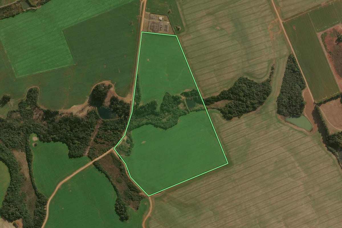 Imagem de satélite do imóvel rural em Guarapuava (PR), com o contorno declarado no CAR desenhado por cima.