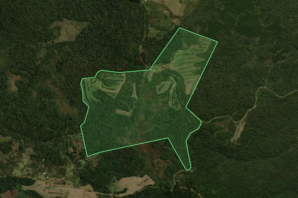 Imagem de satélite do imóvel rural em Guarapuava (PR), com o contorno declarado no CAR desenhado por cima.