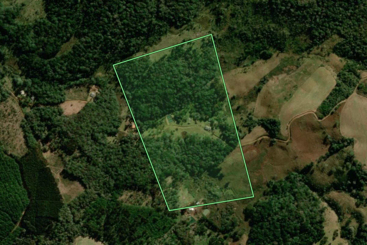Imagem de satélite do imóvel rural em Guarapuava (PR), com o contorno declarado no CAR desenhado por cima.
