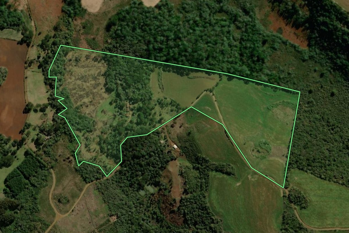 Imagem de satélite do imóvel rural em Guarapuava (PR), com o contorno declarado no CAR desenhado por cima.