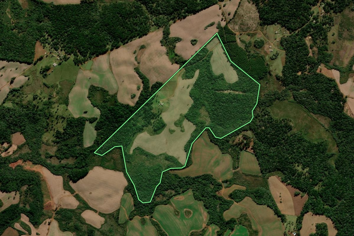 Imagem de satélite do imóvel rural em Guarapuava (PR), com o contorno declarado no CAR desenhado por cima.