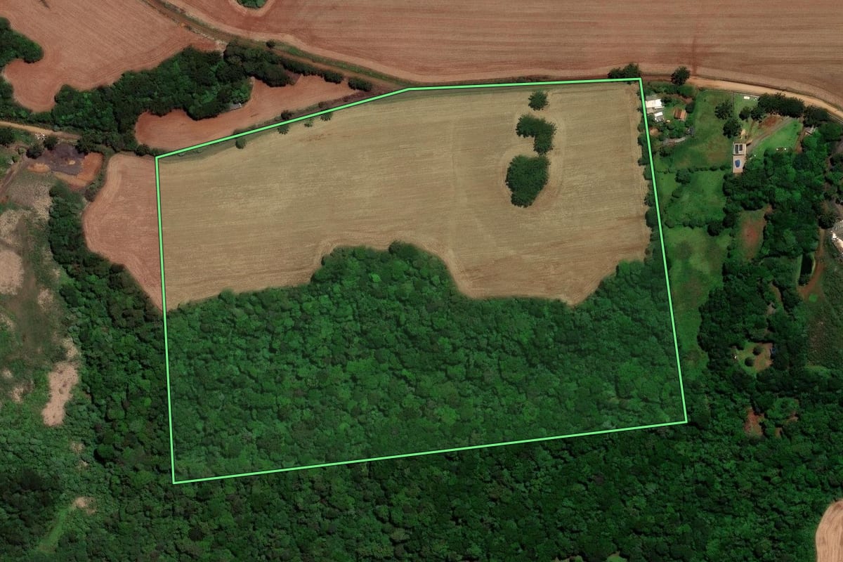 Imagem de satélite do imóvel rural em Guarapuava (PR), com o contorno declarado no CAR desenhado por cima.