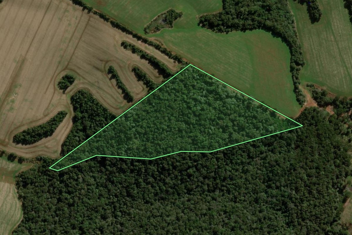 Imagem de satélite do imóvel rural em Guarapuava (PR), com o contorno declarado no CAR desenhado por cima.