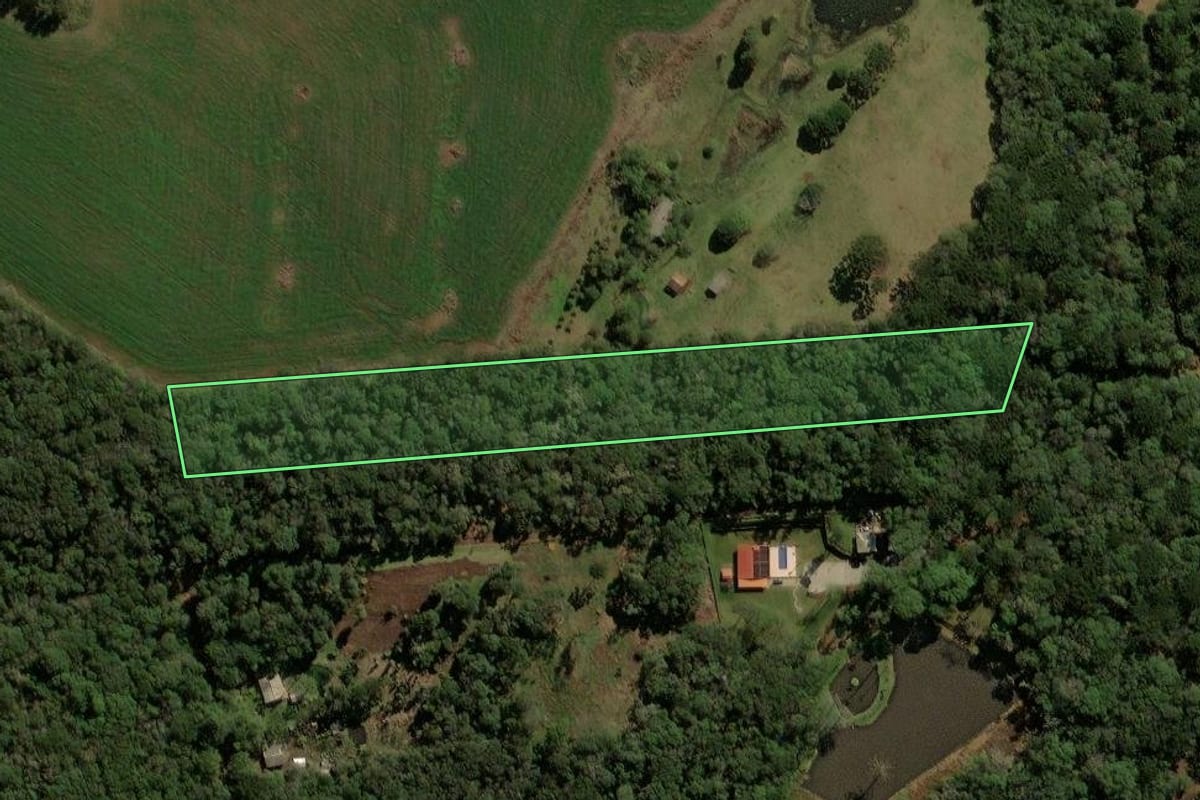 Imagem de satélite do imóvel rural em Guarapuava (PR), com o contorno declarado no CAR desenhado por cima.