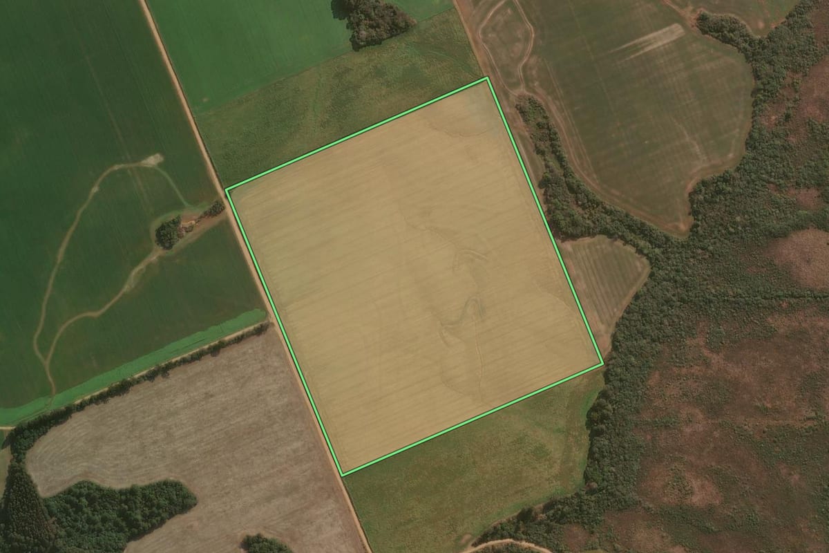 Imagem de satélite do imóvel rural em Guarapuava (PR), com o contorno declarado no CAR desenhado por cima.