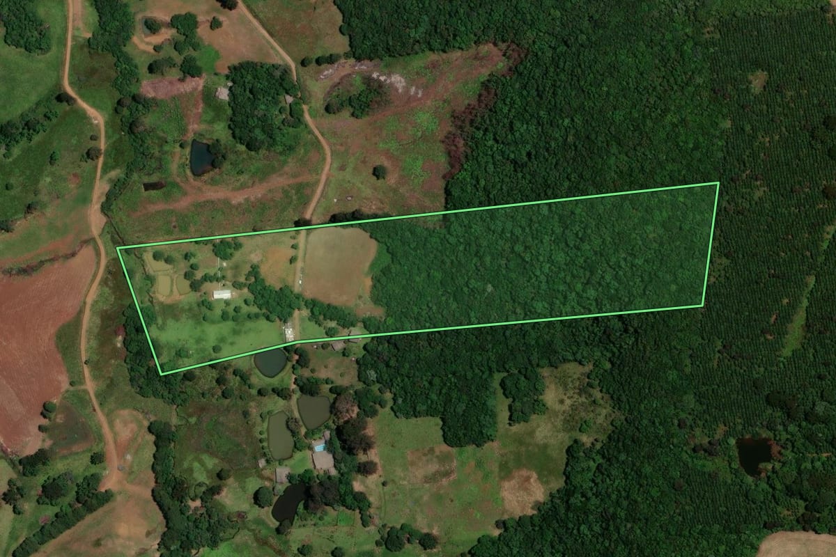 Imagem de satélite do imóvel rural em Guarapuava (PR), com o contorno declarado no CAR desenhado por cima.