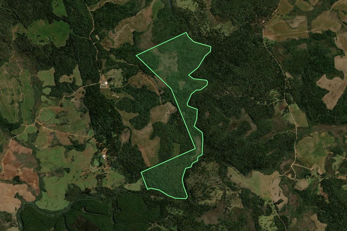 Imagem de satélite do imóvel rural em Guarapuava (PR), com o contorno declarado no CAR desenhado por cima.