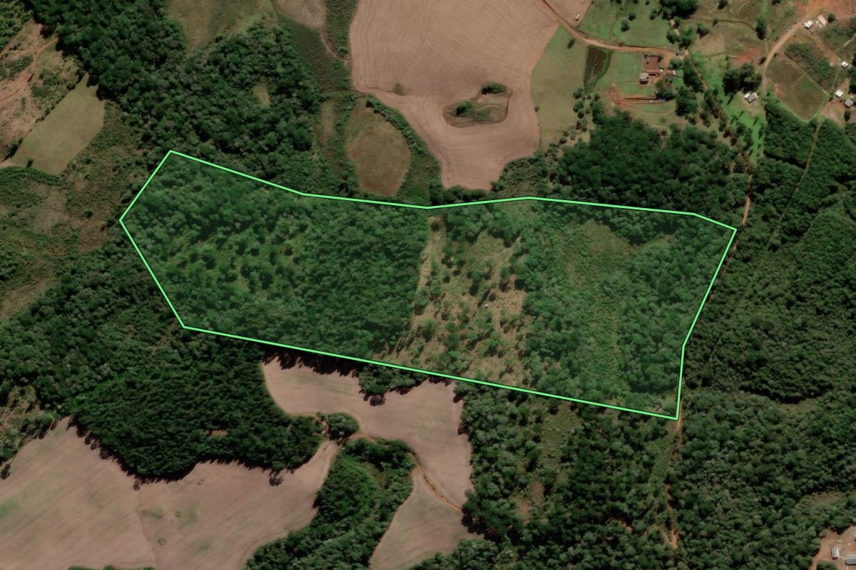 Imagem de satélite do imóvel rural em Guarapuava (PR), com o contorno declarado no CAR desenhado por cima.