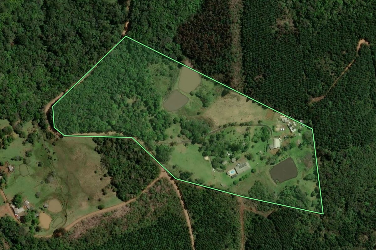 Imagem de satélite do imóvel rural em Guarapuava (PR), com o contorno declarado no CAR desenhado por cima.