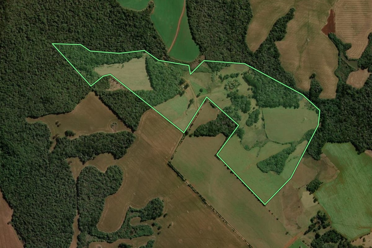 Imagem de satélite do imóvel rural em Guarapuava (PR), com o contorno declarado no CAR desenhado por cima.