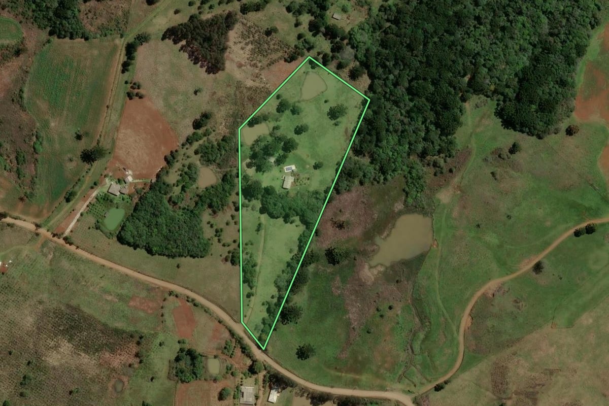 Imagem de satélite do imóvel rural em Guarapuava (PR), com o contorno declarado no CAR desenhado por cima.
