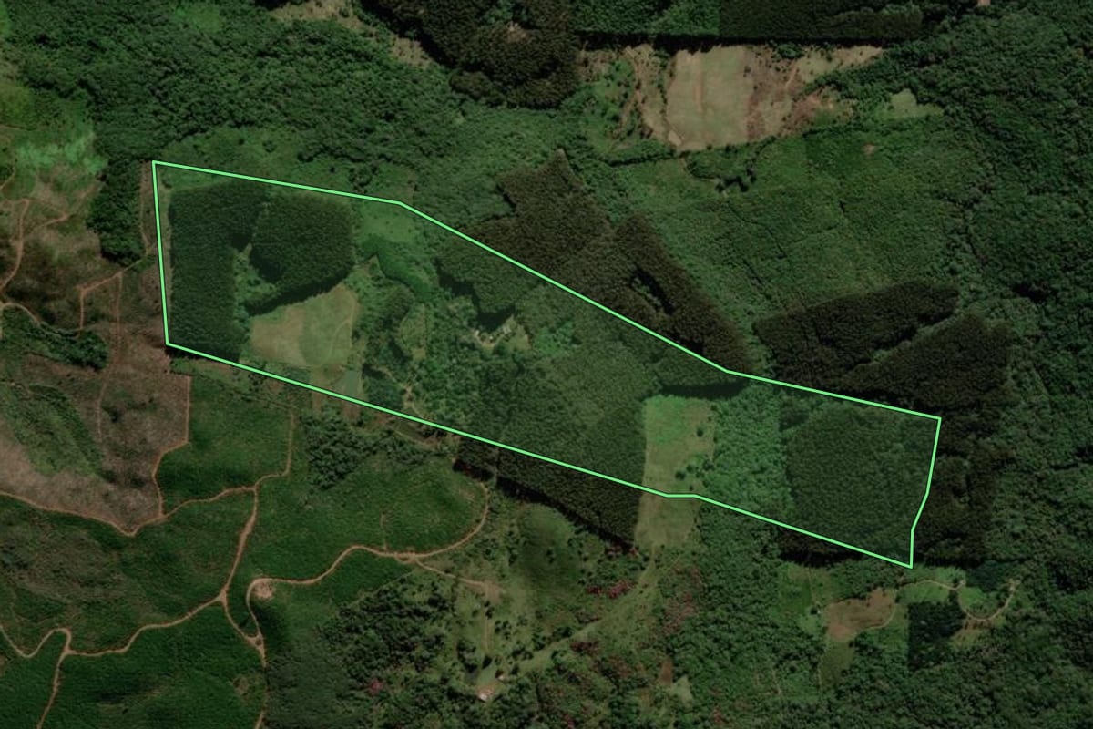 Imagem de satélite do imóvel rural em Prudentópolis (PR), com o contorno declarado no CAR desenhado por cima.