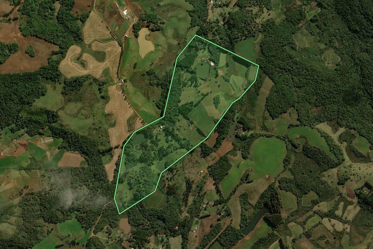Imagem de satélite do imóvel rural em Guarapuava (PR), com o contorno declarado no CAR desenhado por cima.