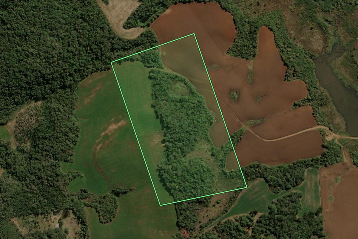 Imagem de satélite do imóvel rural em Guarapuava (PR), com o contorno declarado no CAR desenhado por cima.