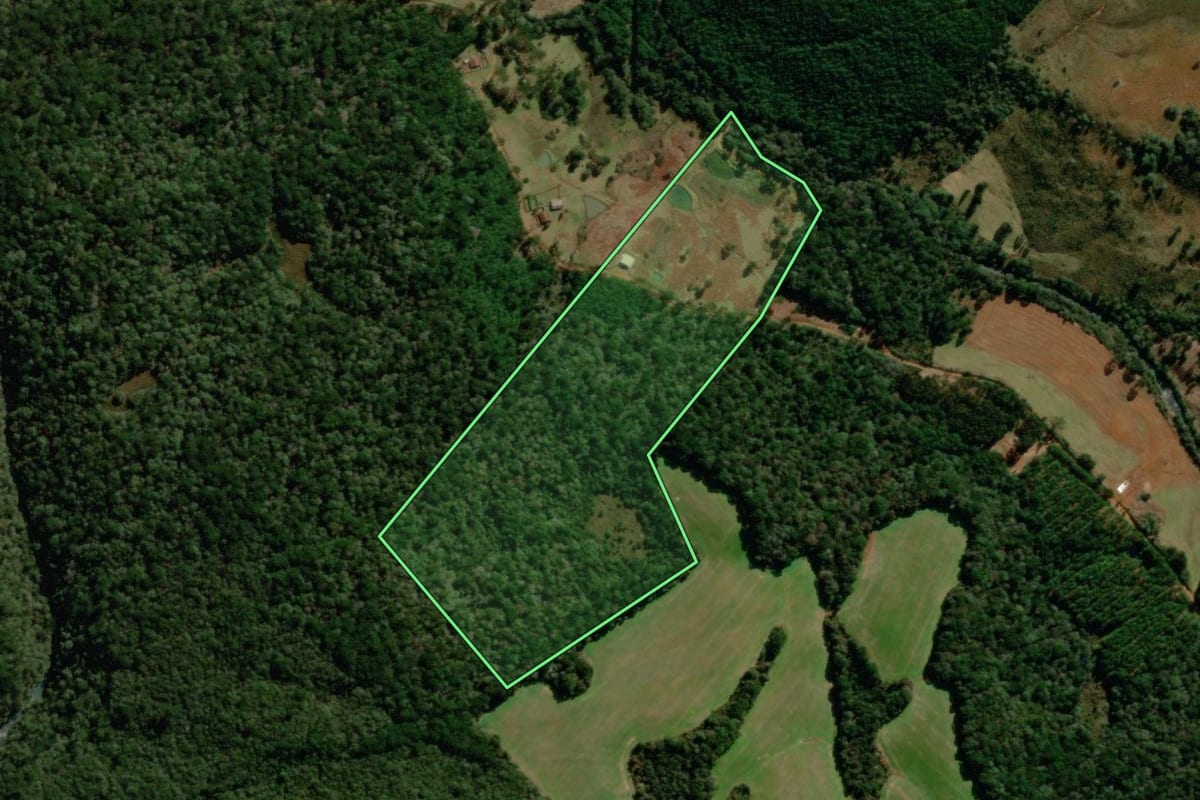 Imagem de satélite do imóvel rural em Guarapuava (PR), com o contorno declarado no CAR desenhado por cima.