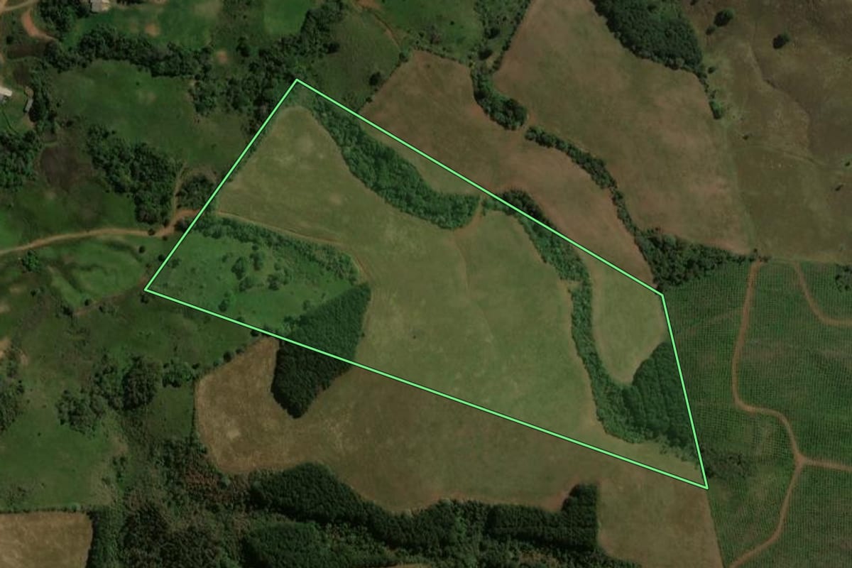 Imagem de satélite do imóvel rural em Guarapuava (PR), com o contorno declarado no CAR desenhado por cima.