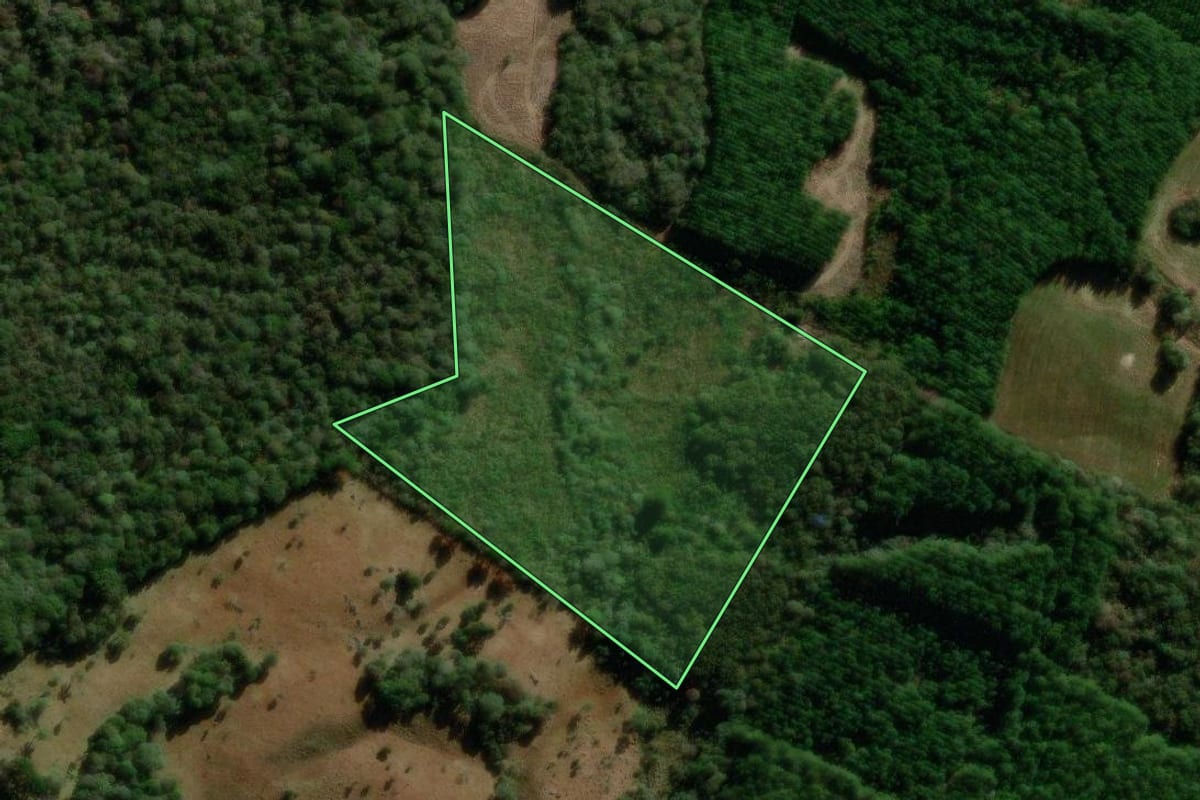 Imagem de satélite do imóvel rural em Guarapuava (PR), com o contorno declarado no CAR desenhado por cima.
