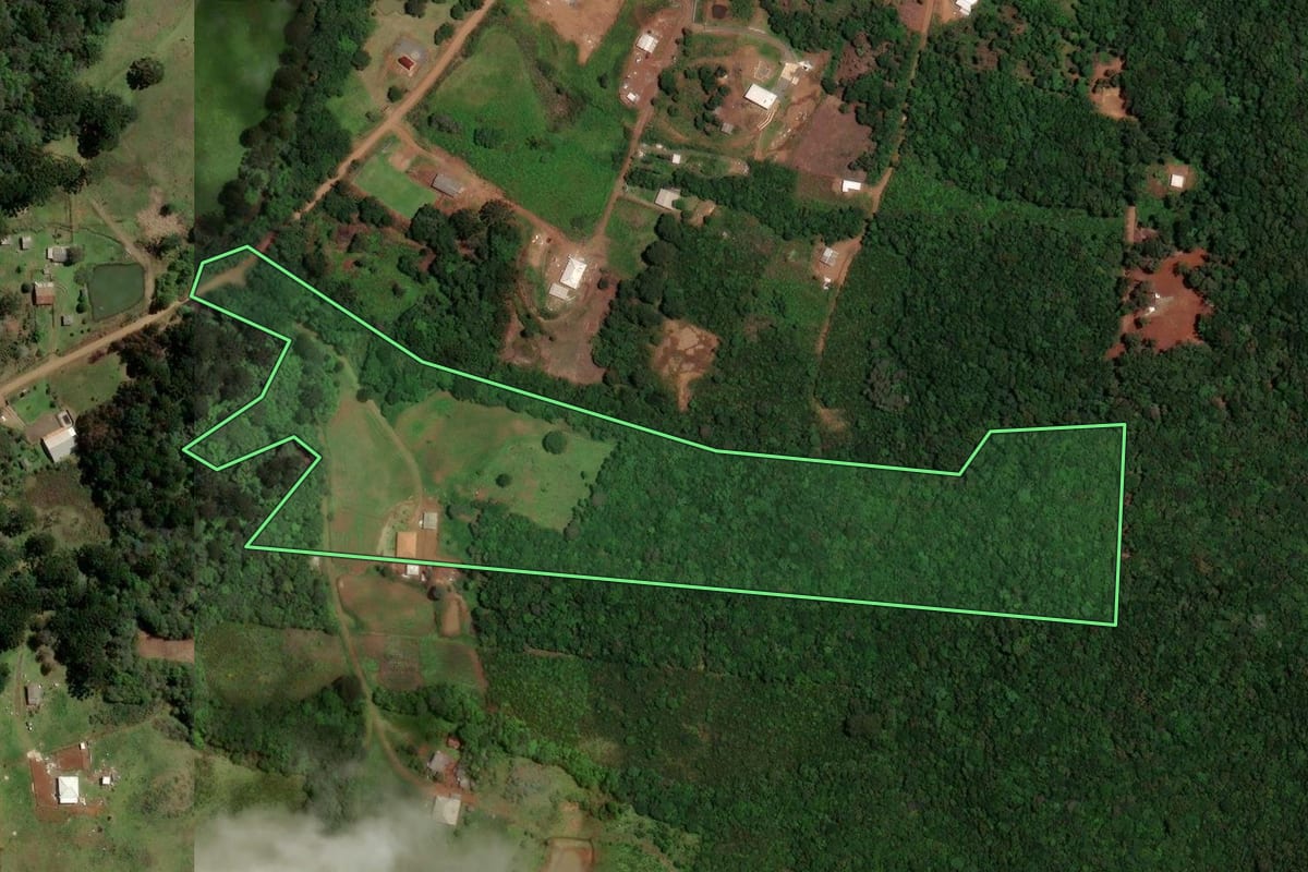 Imagem de satélite do imóvel rural em Guarapuava (PR), com o contorno declarado no CAR desenhado por cima.