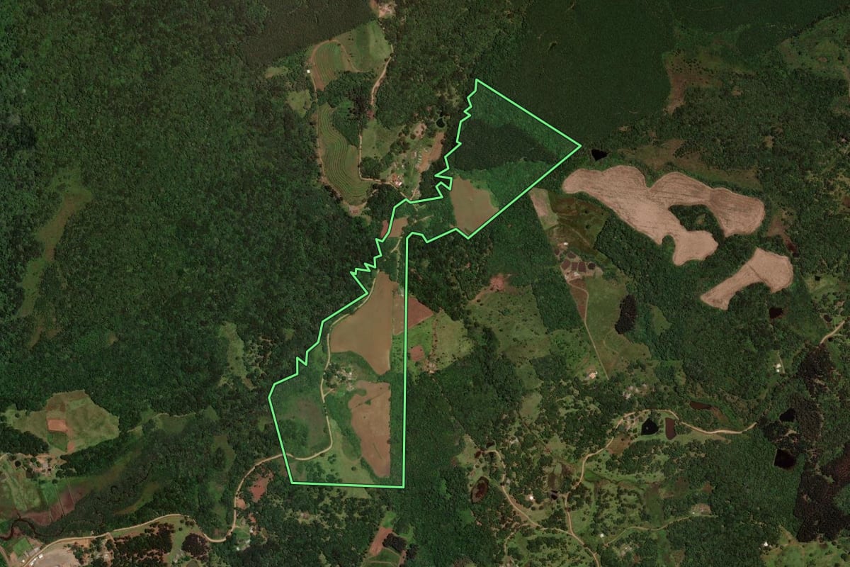 Imagem de satélite do imóvel rural em Guarapuava (PR), com o contorno declarado no CAR desenhado por cima.