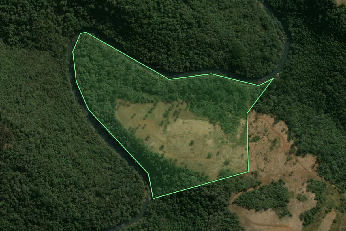 Imagem de satélite do imóvel rural em Guarapuava (PR), com o contorno declarado no CAR desenhado por cima.