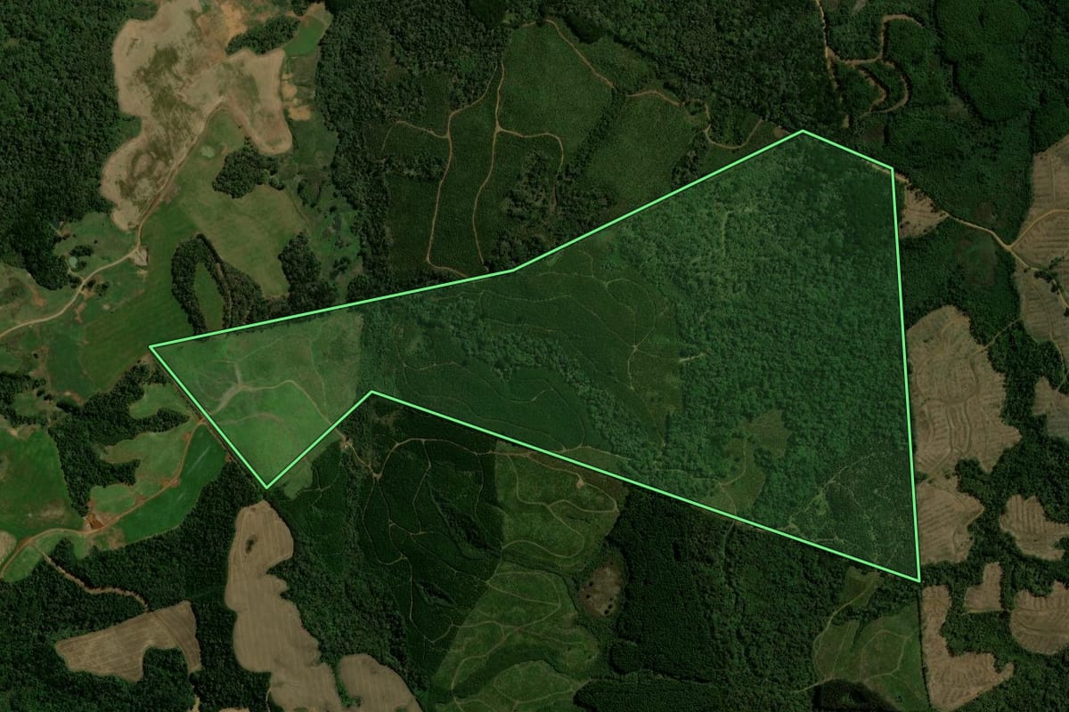 Imagem de satélite do imóvel rural em Guarapuava (PR), com o contorno declarado no CAR desenhado por cima.