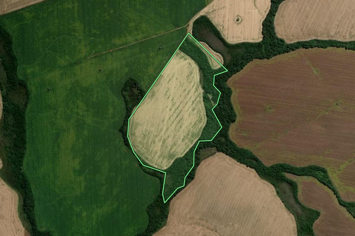 Imagem de satélite do imóvel rural em Guarapuava (PR), com o contorno declarado no CAR desenhado por cima.