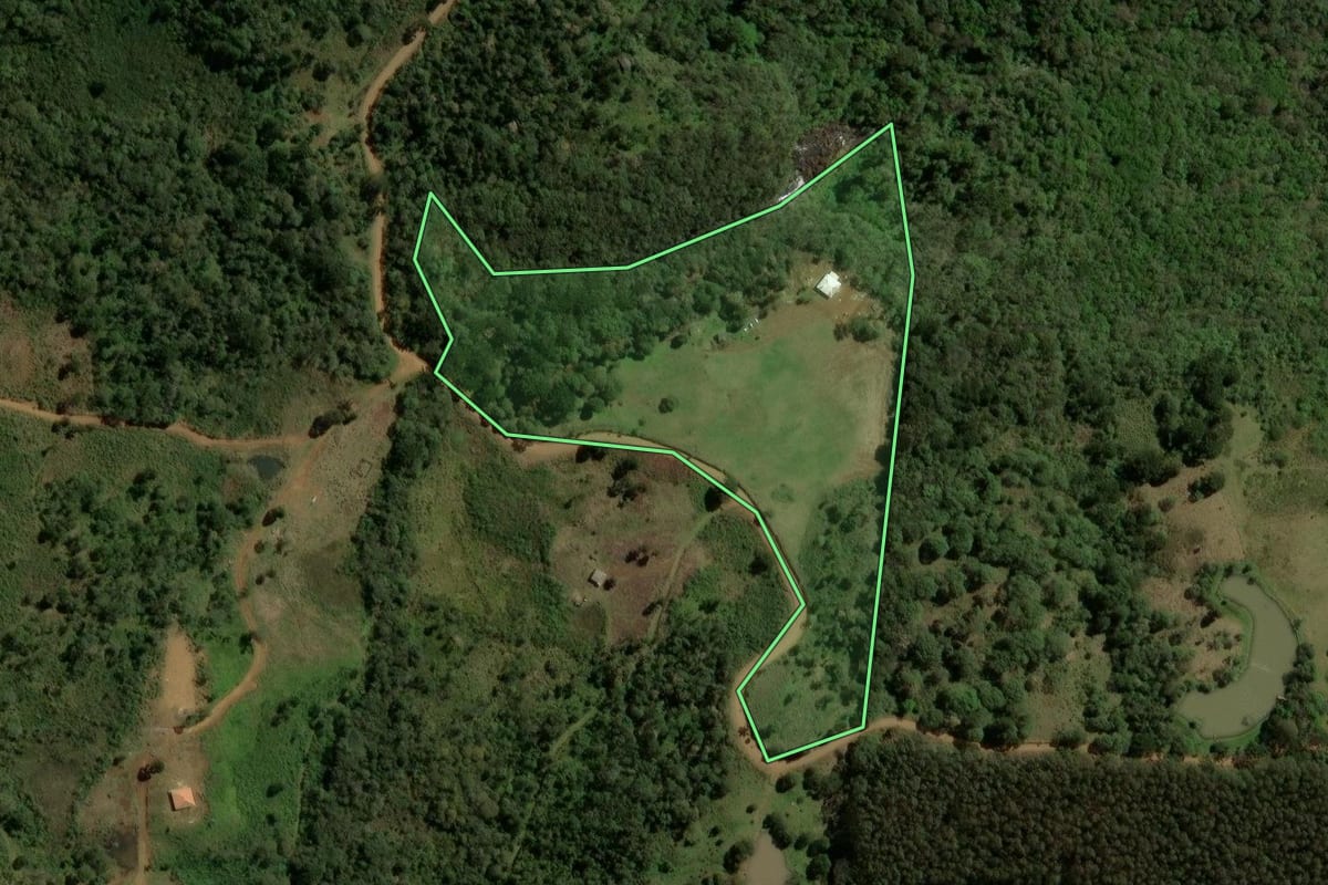 Imagem de satélite do imóvel rural em Guarapuava (PR), com o contorno declarado no CAR desenhado por cima.
