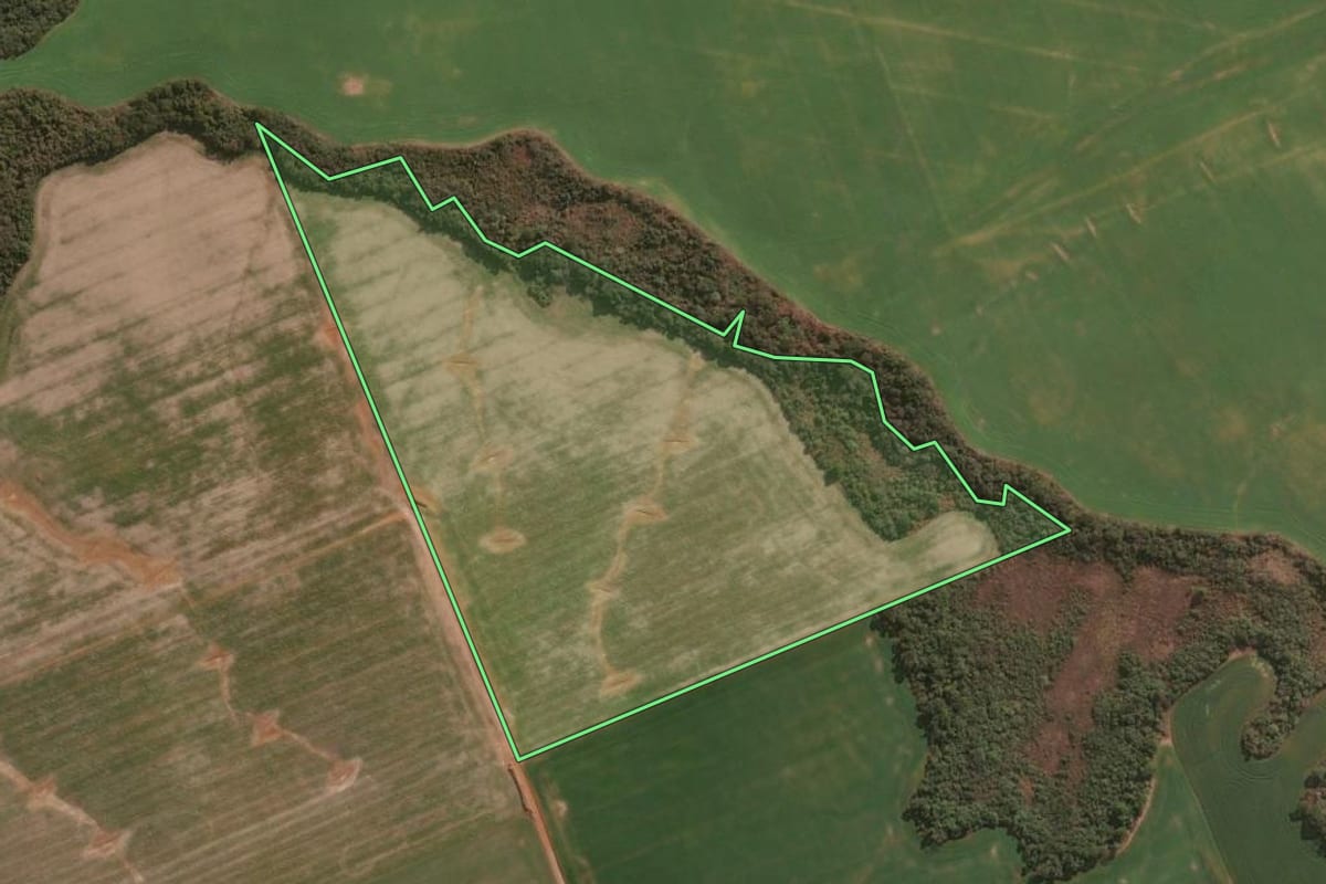 Imagem de satélite do imóvel rural em Guarapuava (PR), com o contorno declarado no CAR desenhado por cima.