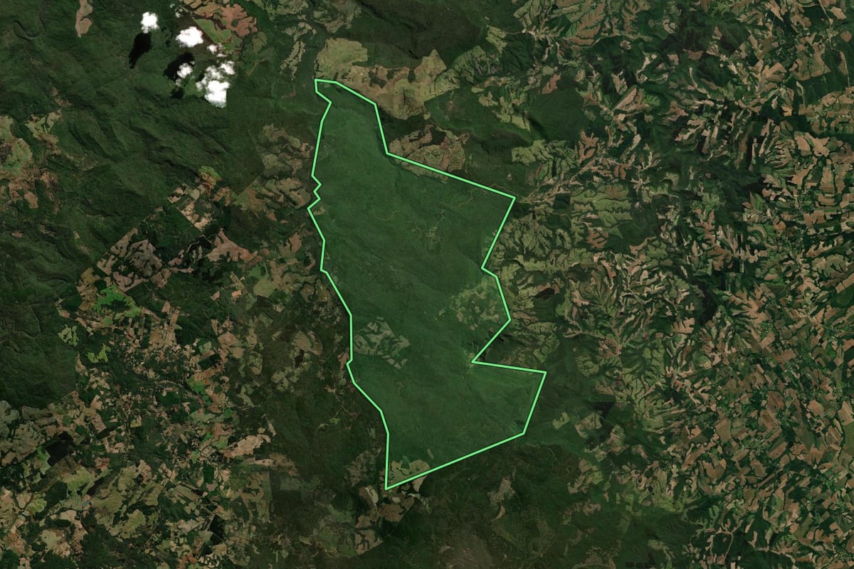 Imagem de satélite do imóvel rural em Guarapuava (PR), com o contorno declarado no CAR desenhado por cima.