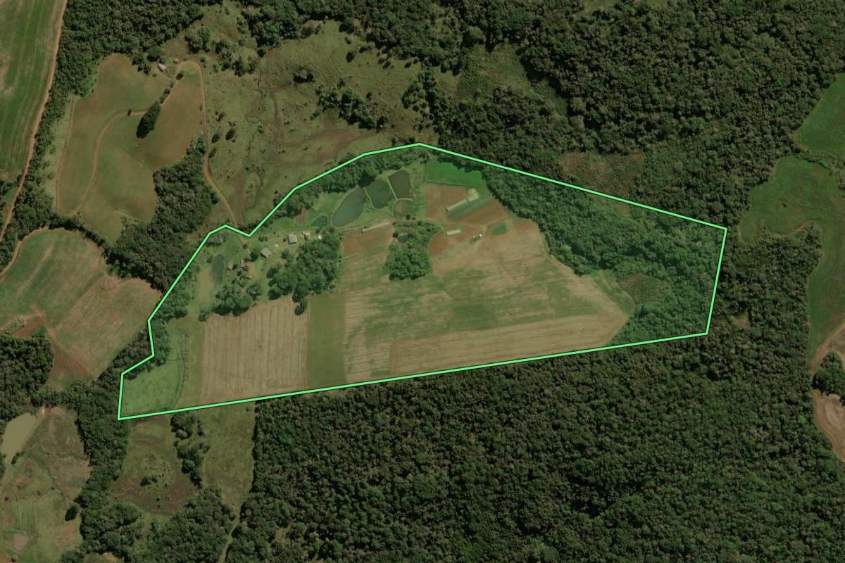 Imagem de satélite do imóvel rural em Guarapuava (PR), com o contorno declarado no CAR desenhado por cima.
