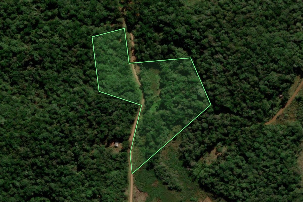 Imagem de satélite do imóvel rural em Guarapuava (PR), com o contorno declarado no CAR desenhado por cima.