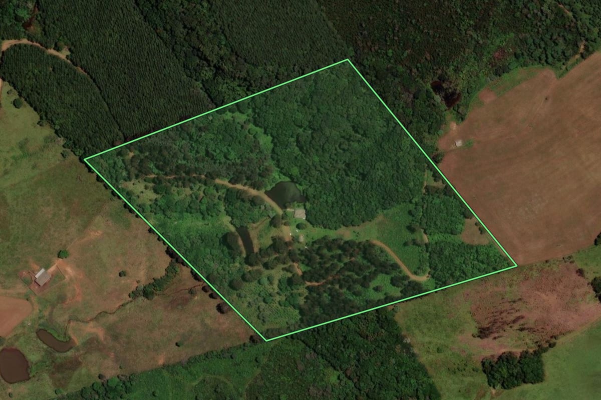 Imagem de satélite do imóvel rural em Guarapuava (PR), com o contorno declarado no CAR desenhado por cima.