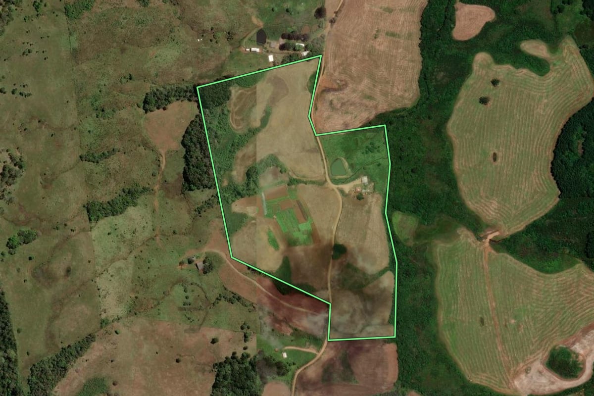 Imagem de satélite do imóvel rural em Guarapuava (PR), com o contorno declarado no CAR desenhado por cima.