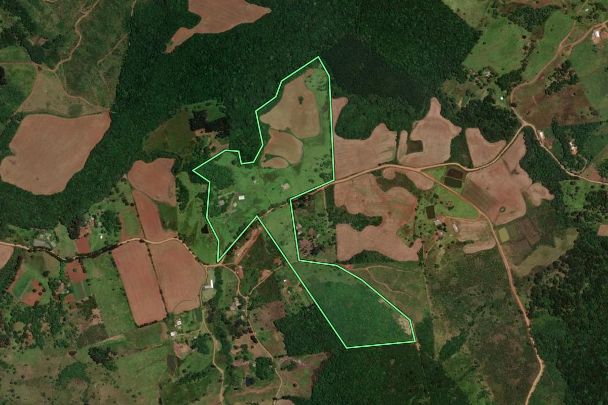 Imagem de satélite do imóvel rural em Guarapuava (PR), com o contorno declarado no CAR desenhado por cima.