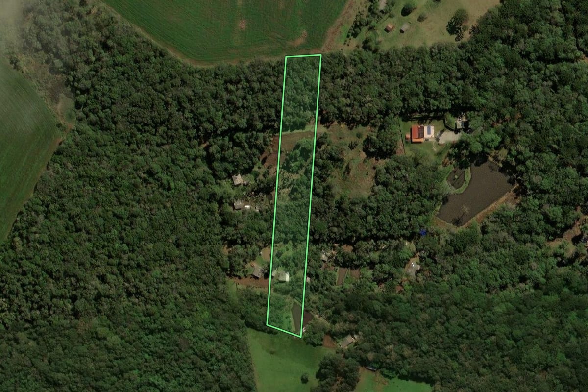 Imagem de satélite do imóvel rural em Guarapuava (PR), com o contorno declarado no CAR desenhado por cima.