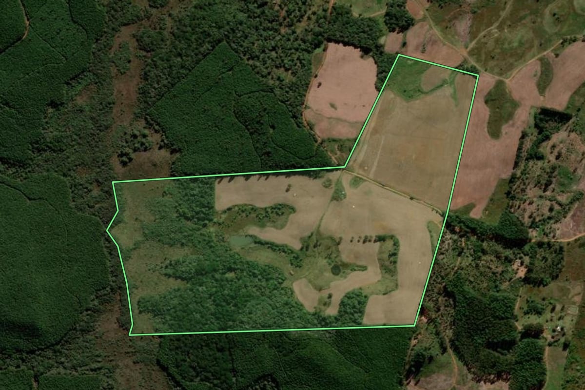 Imagem de satélite do imóvel rural em Guarapuava (PR), com o contorno declarado no CAR desenhado por cima.