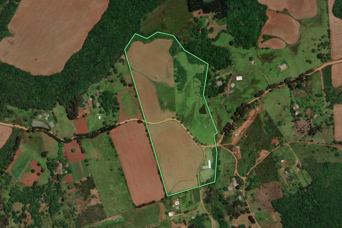 Imagem de satélite do imóvel rural em Guarapuava (PR), com o contorno declarado no CAR desenhado por cima.