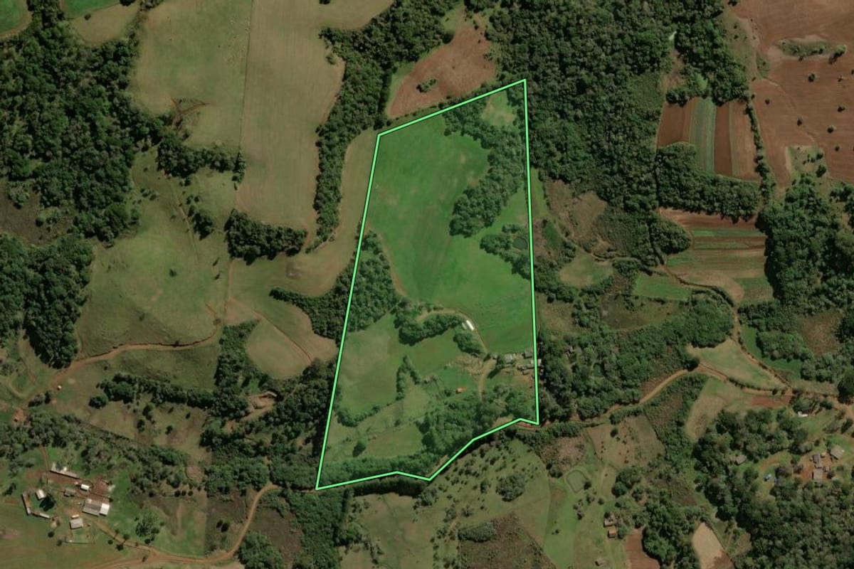 Imagem de satélite do imóvel rural em Guarapuava (PR), com o contorno declarado no CAR desenhado por cima.